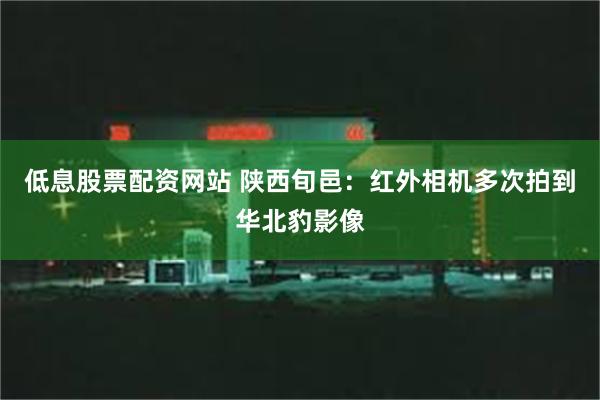 低息股票配资网站 陕西旬邑：红外相机多次拍到华北豹影像