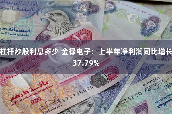 杠杆炒股利息多少 金禄电子：上半年净利润同比增长37.79%