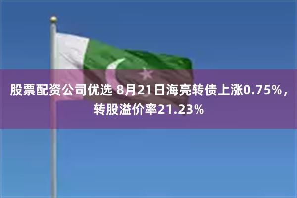 股票配资公司优选 8月21日海亮转债上涨0.75%，转股溢价率21.23%