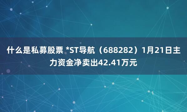 什么是私募股票 *ST导航（688282）1月21日主力资金净卖出42.41万元