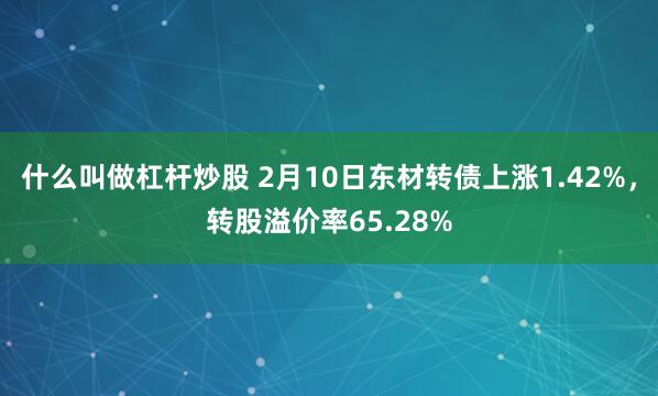 什么叫做杠杆炒股 2月10日东材转债上涨1.42%，转股溢价率65.28%